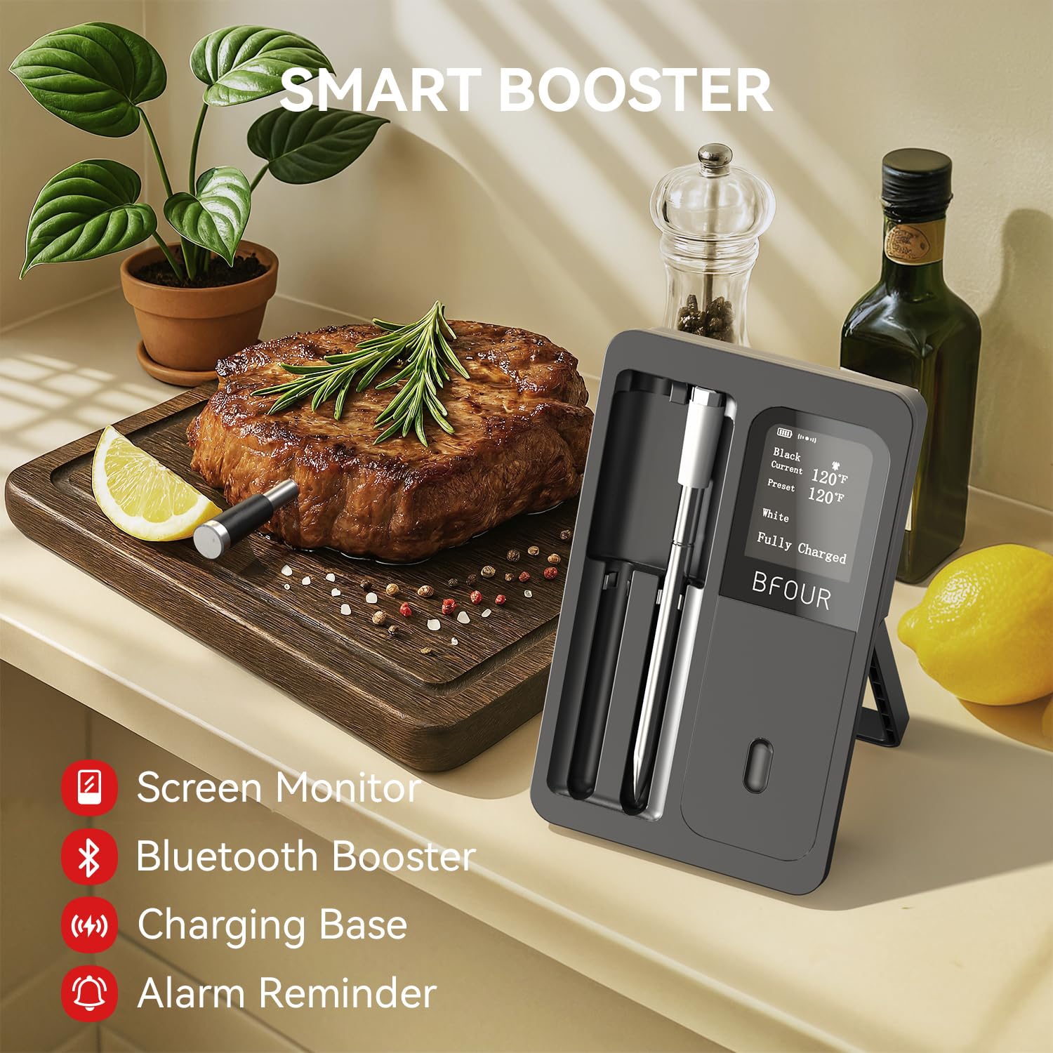 Kitchen Appliances Video - ワイヤレス肉温度計 Bluetooth 防水プローブ 充電式 LCD スクリーン